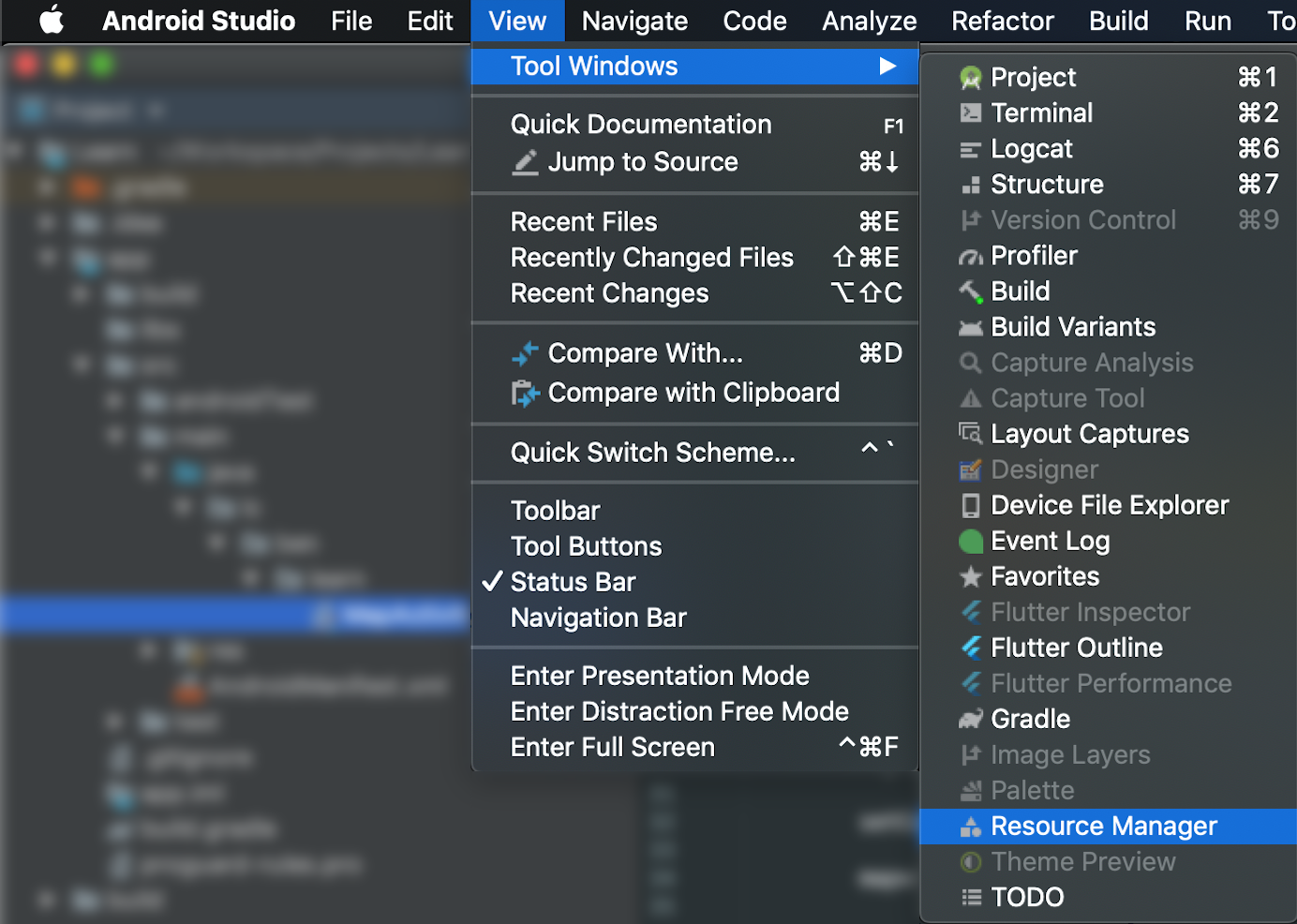 Android Studio Resource Manager Path